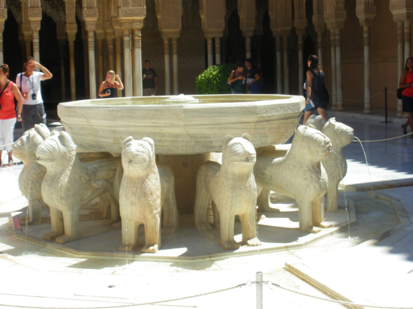 EL PATIO DE LOS LEONES