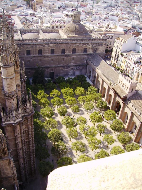 El Patio de los Naranjos.