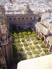 El Patio de los Naranjos.