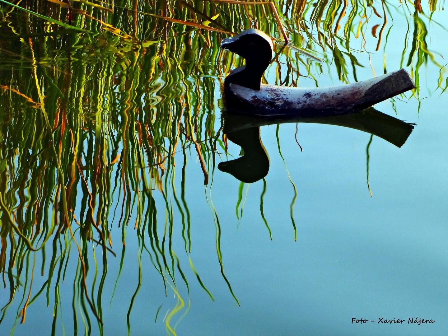 El patito feo, cua, cua, cua