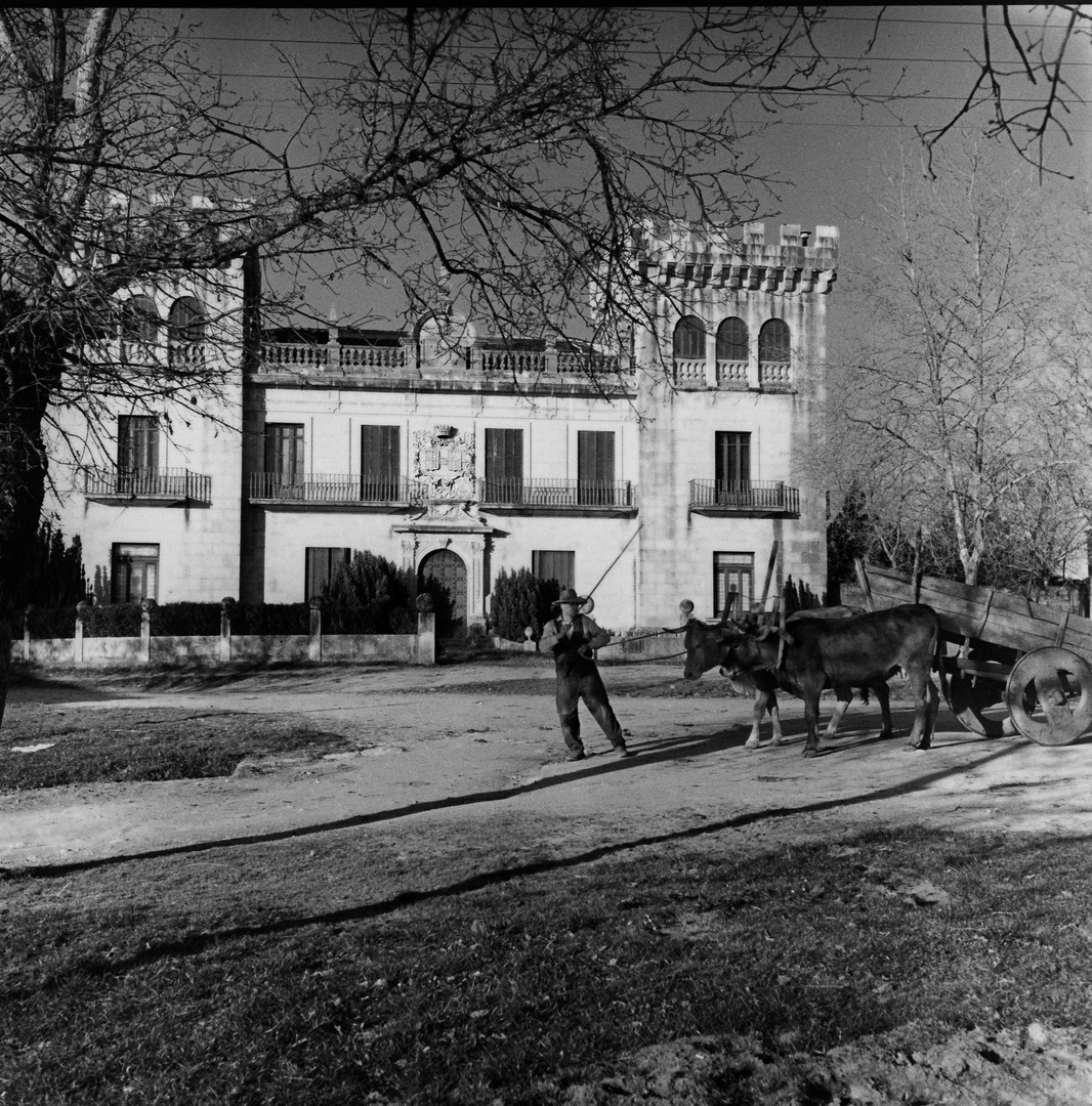 _EL PAZO DEL GENERAL TELLA.primeros años de la década de los 60