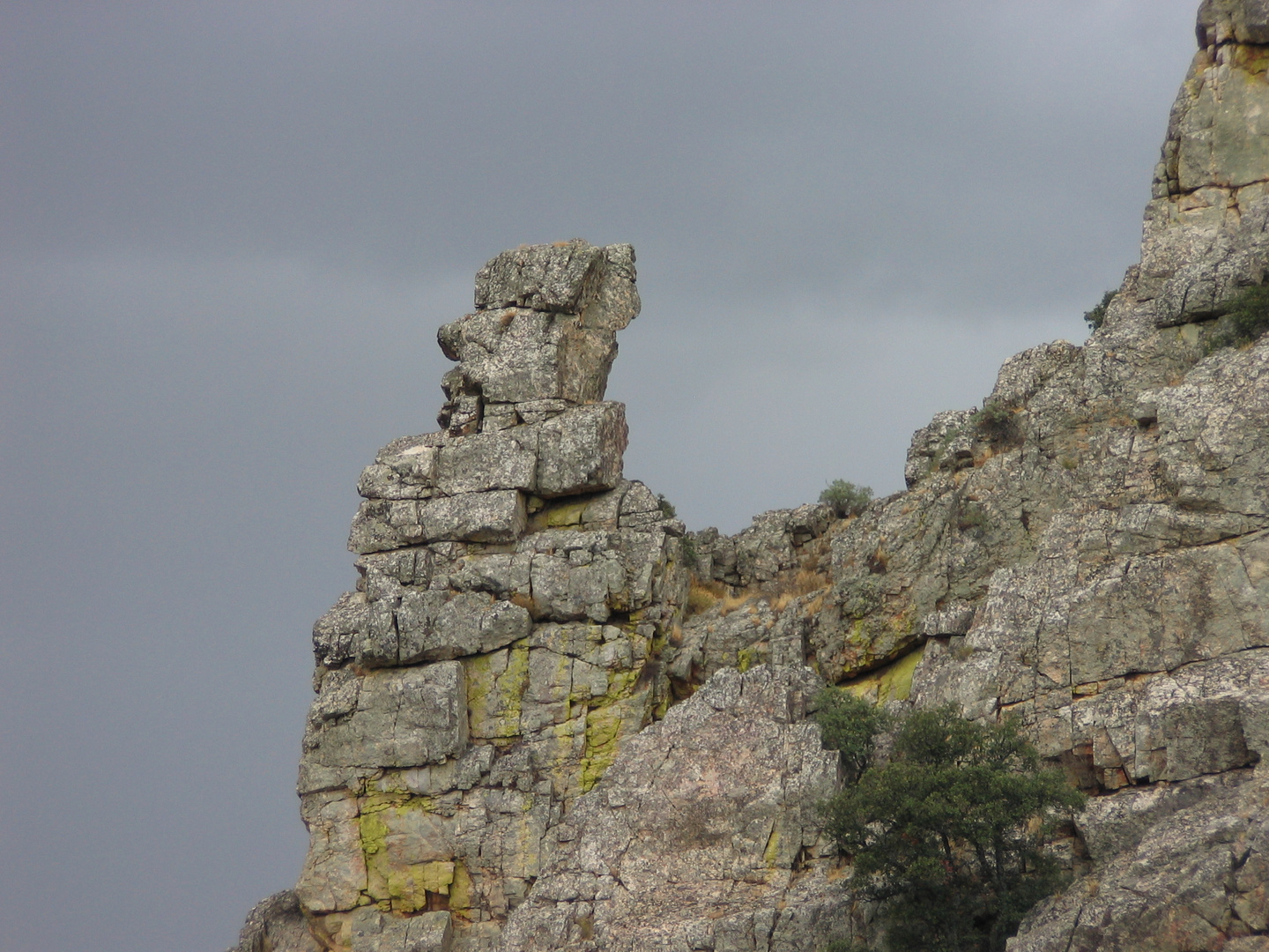 El pedestal del buitre de Monfragüe