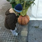 El Peque Observando la calabaza