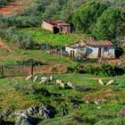 El pequeño cortijo