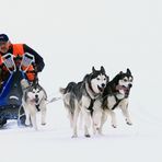 El perro es el mejor amigo del hombre......