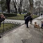 ...el perro que canta...