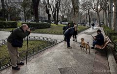 ...el perro que canta...