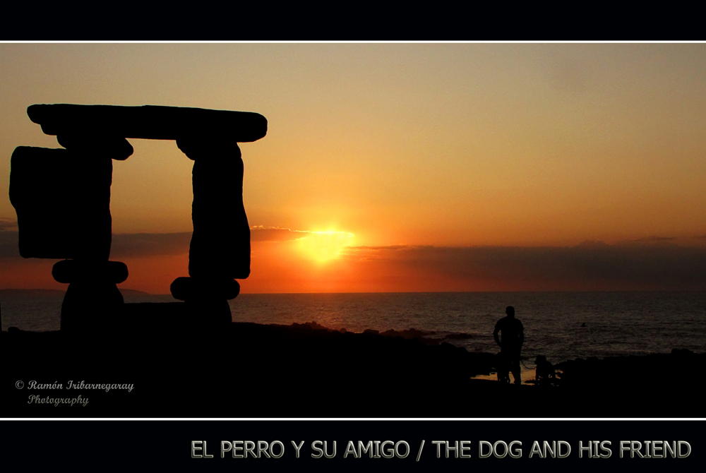 El perro y su amigo/ The dog and his friend