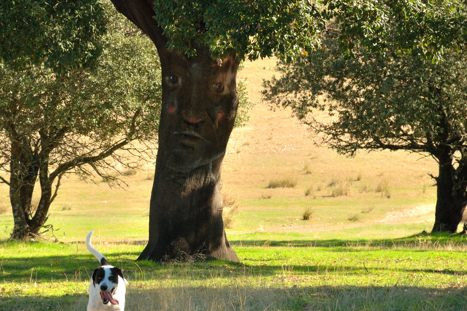 El perro y su Dueño