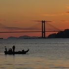 el pescador ( ria de vigo )