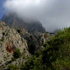 El Pico de Teide