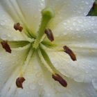 El Poema de la Lluvia Triste.