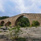 El Pont de Pedret 