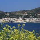 EL PORT DE LA SELVA. COSTA BRAVA