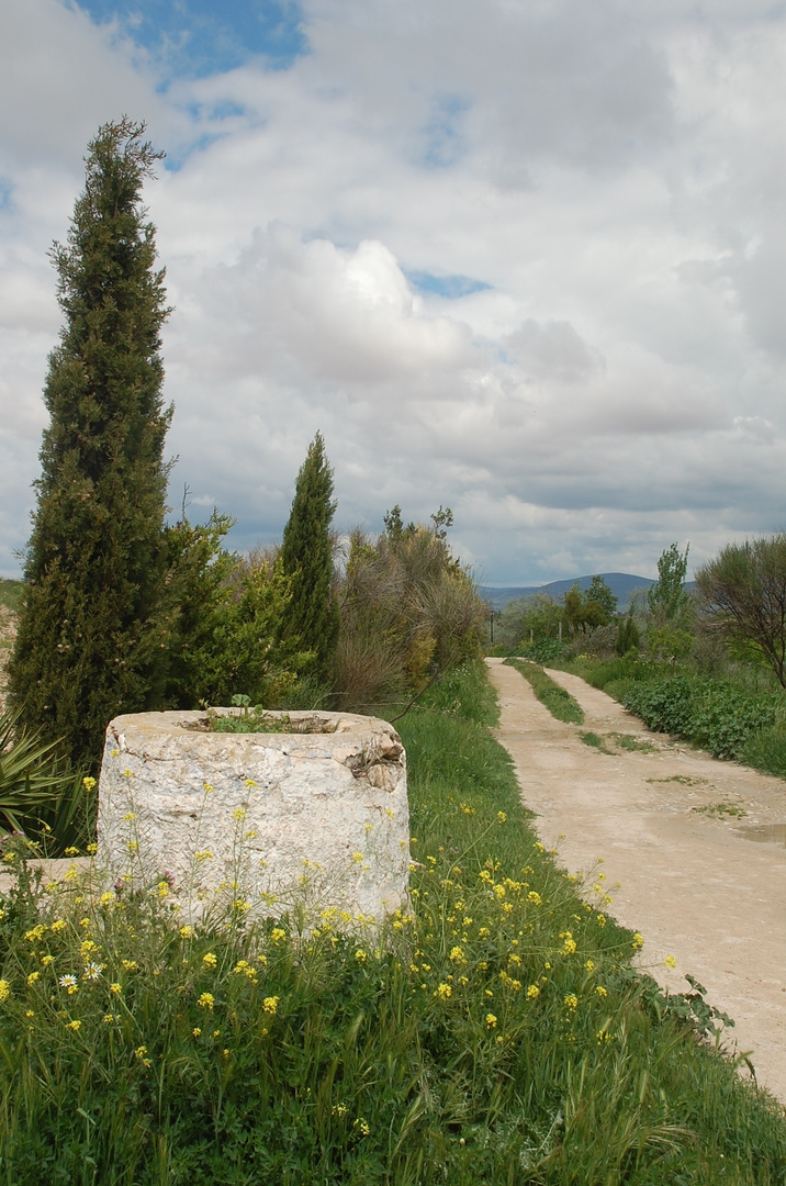 El pozo en el camino