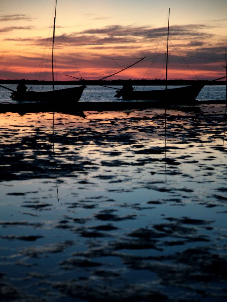 el primer atardecer de Manuel