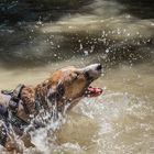 El Primer Baño Del Verano...