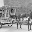 El Primer Burro Taxi de El Rodadero 