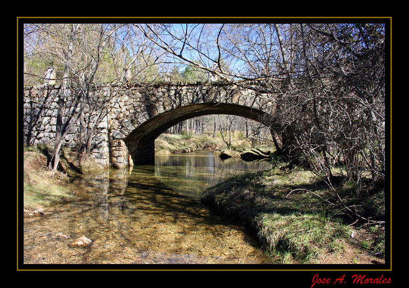 El Puente 2