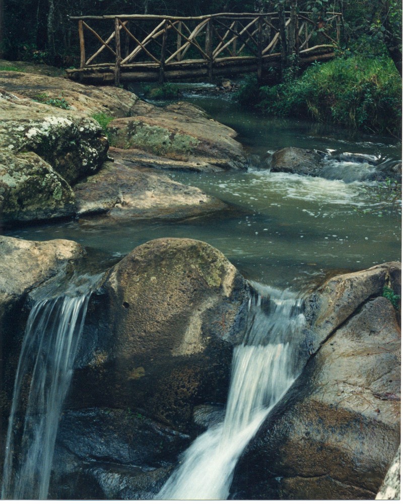 el puente