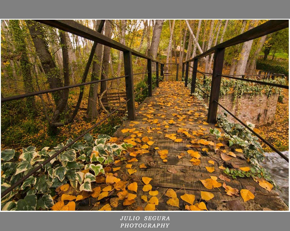 El Puente