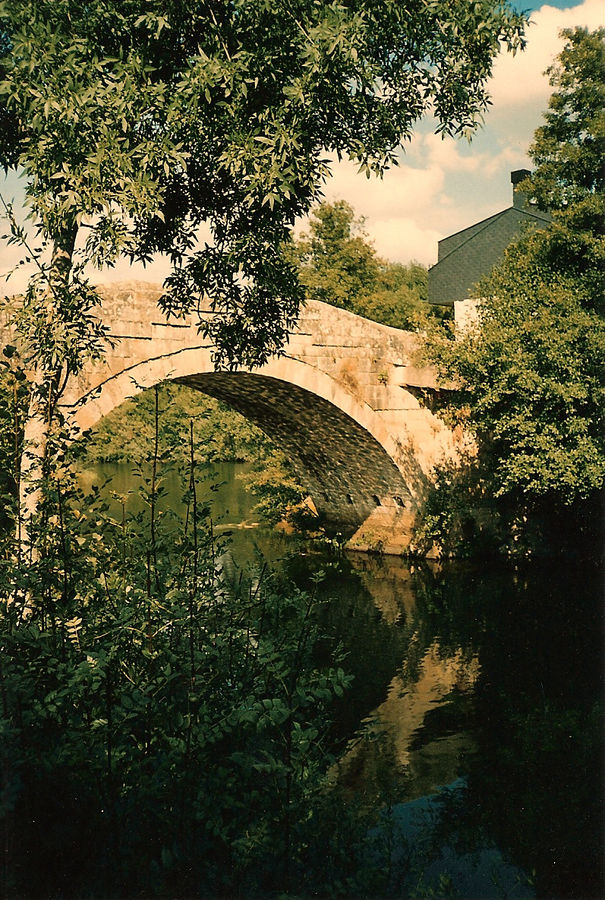 El puente casi oculto