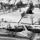 El Puente "Río Trueba" Burgos. 