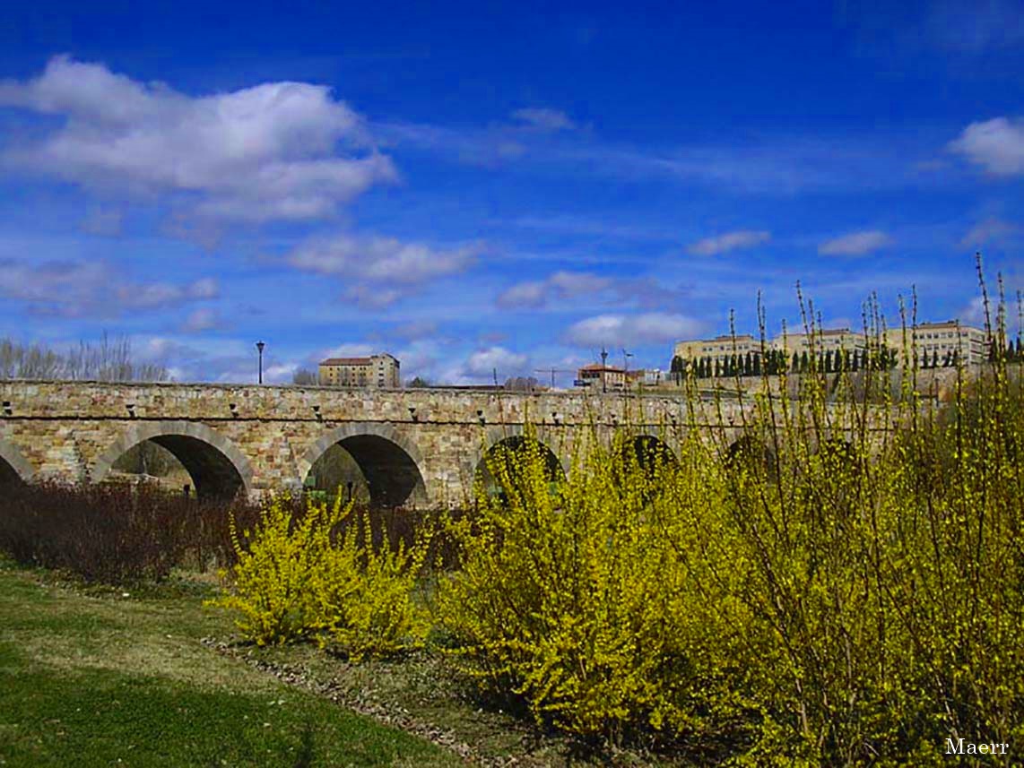 El Puente Románico de Salamanca