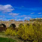 El Puente Románico de Salamanca