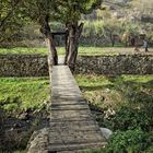 El puente y el río