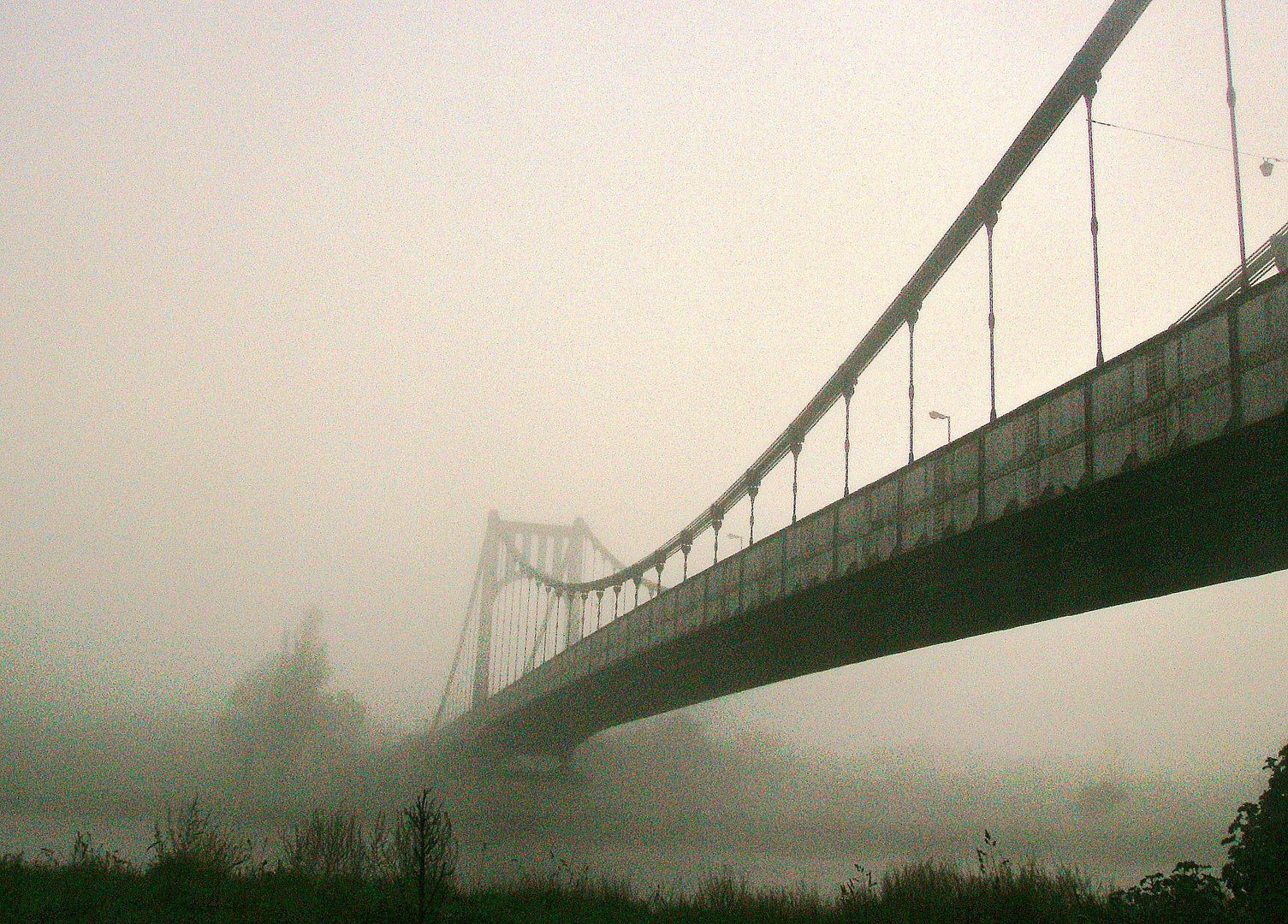 EL PUENTE Y LA NIEBLA