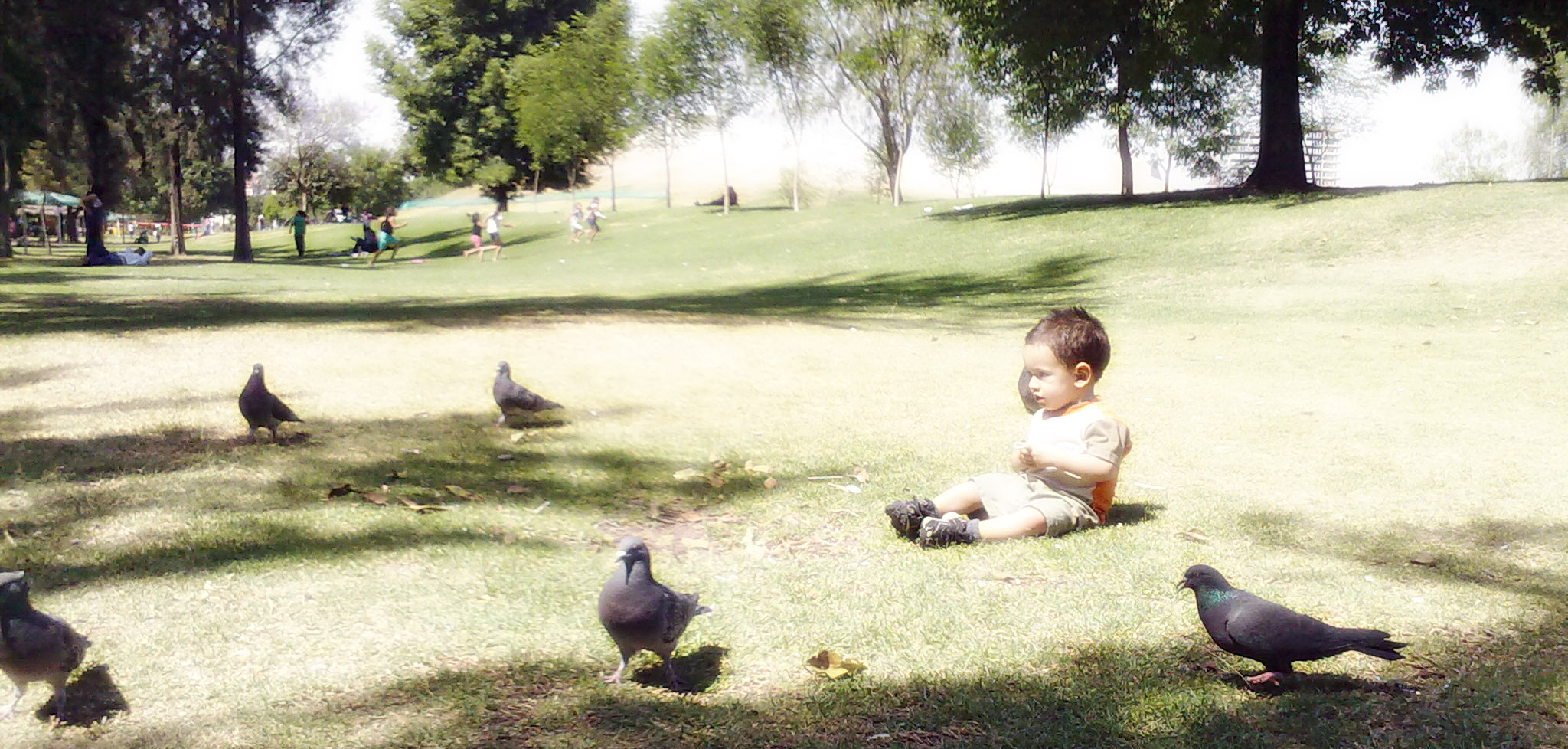 El querer volar.