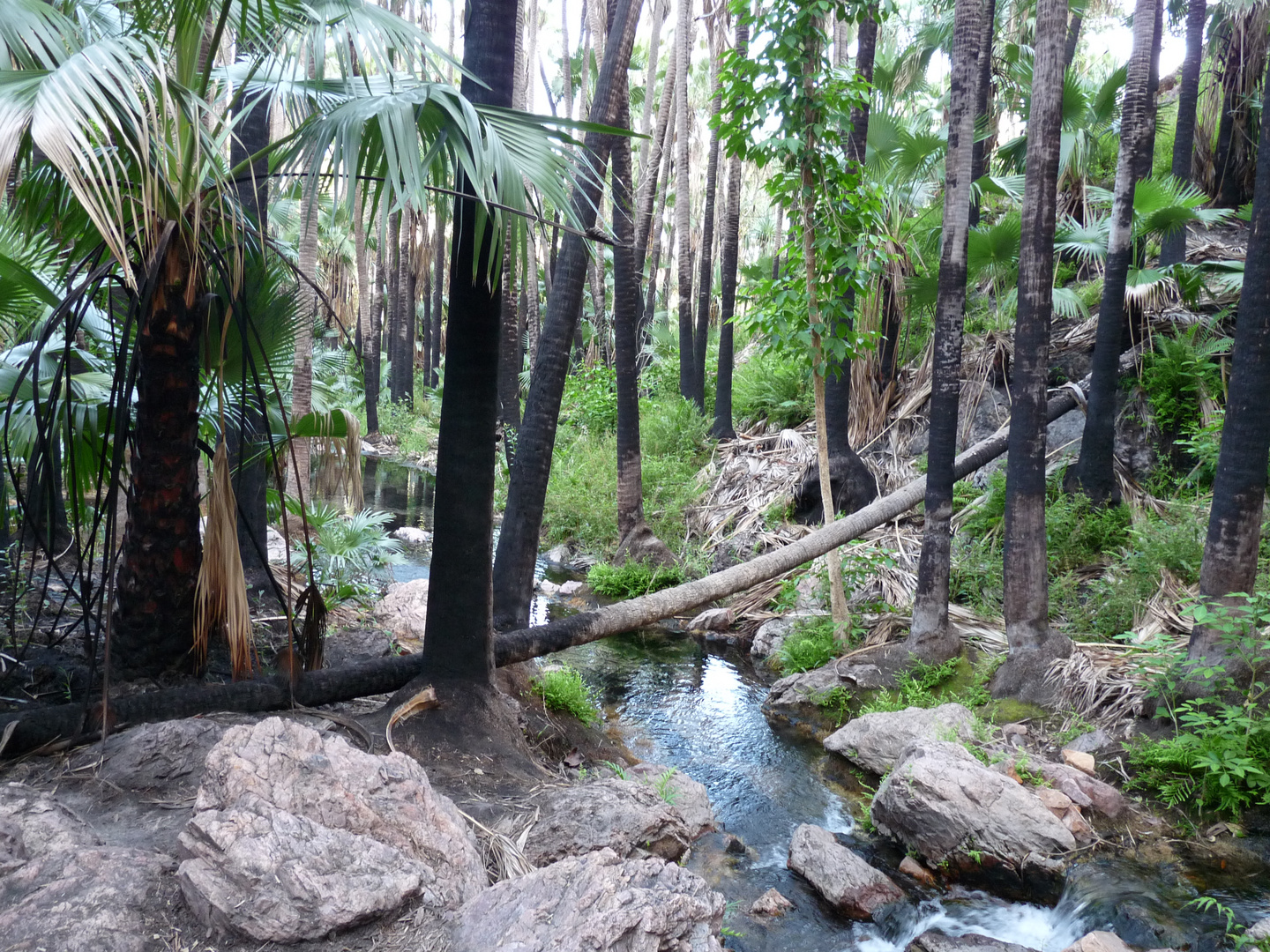 El Questro Nationalpark