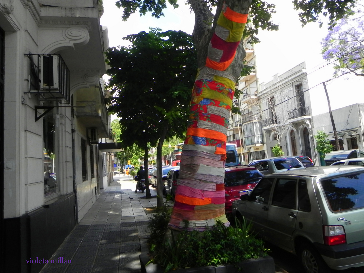 EL ÁRBOL VESTIDO,PALERMO SOHO