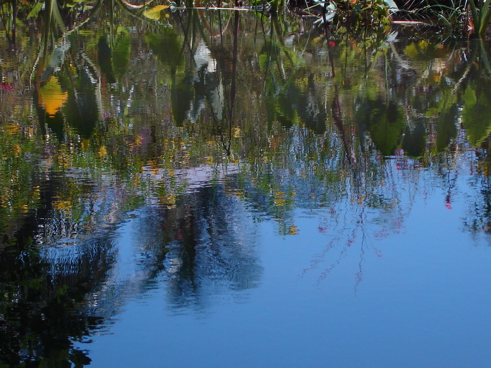 El Reflejo