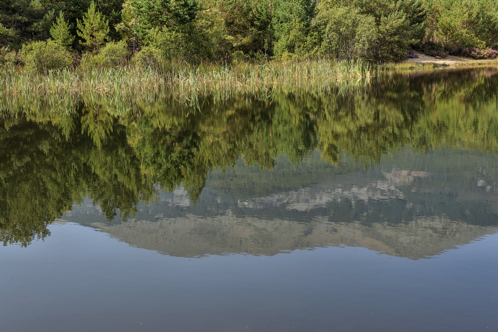 EL REFLEJO DEL PICO SAN MIGUEL