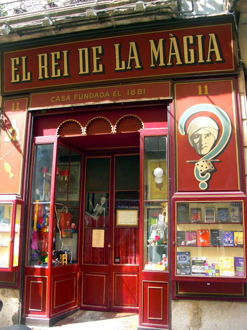 EL REI DE LA MAGIA