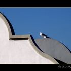 El Reposo de las Gaviotas