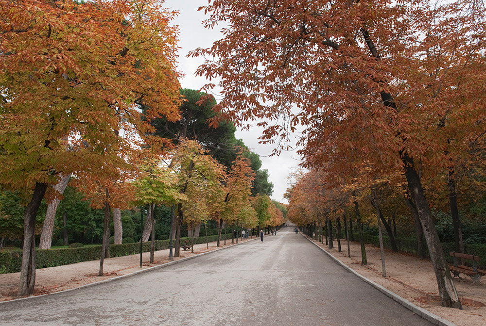 El Retiro estaba vacío ( III )