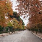 El Retiro estaba vacío ( III )