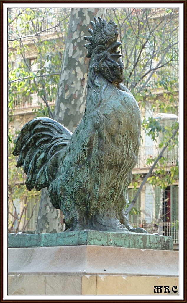 EL REY DEL GALLINERO.