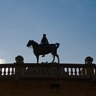 El Rey haciendo equilibrios