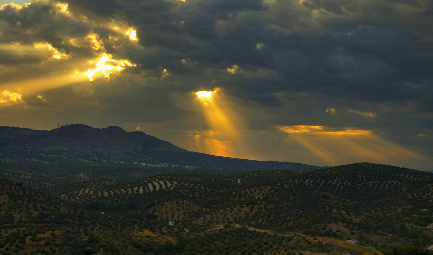 EL REY SOL.....SE ABRE PASO.