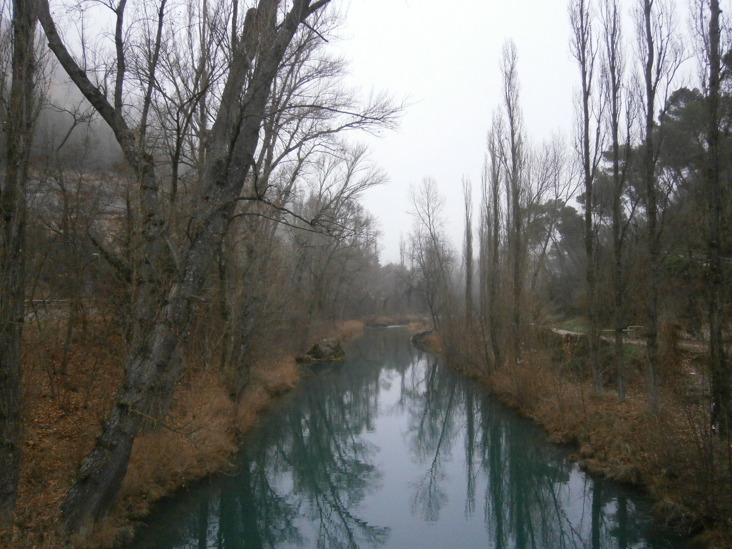 El río 2.