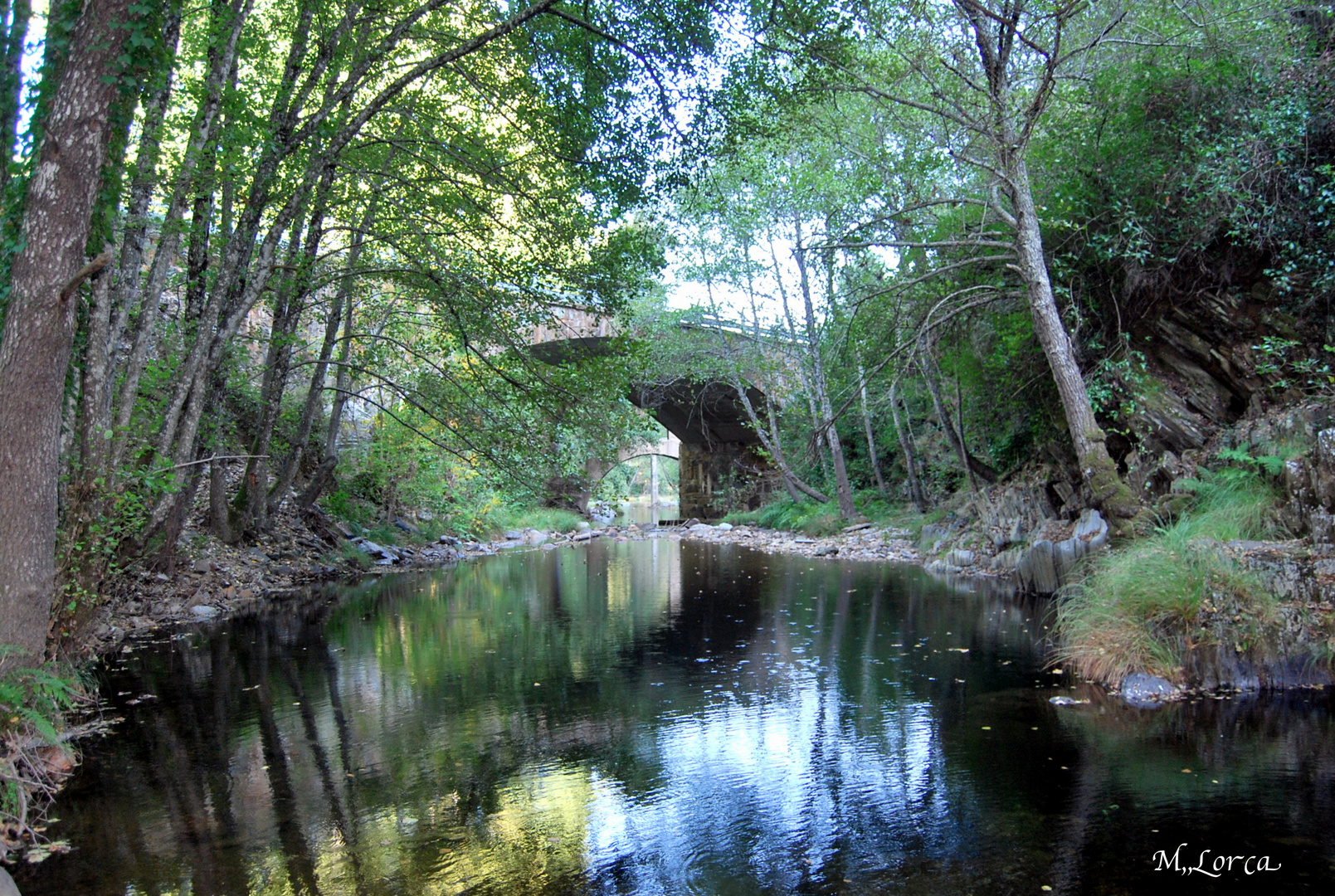 el rio a su paso por las Mestas