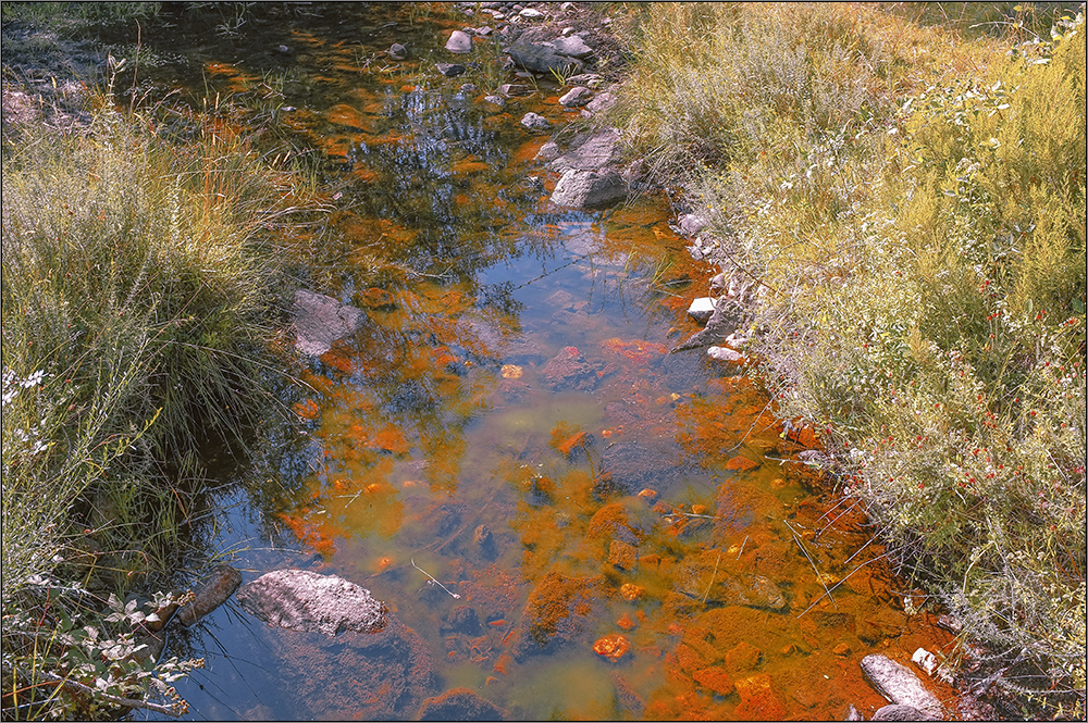 El río agostado