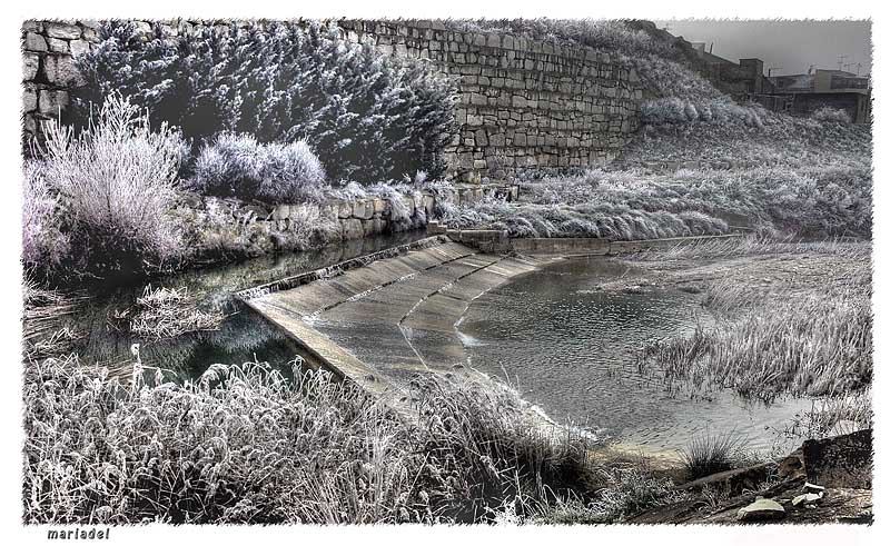 El Río Arba de Luesía Ejea de los Caballeros (Aragón)