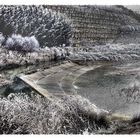 El Río Arba de Luesía Ejea de los Caballeros (Aragón)