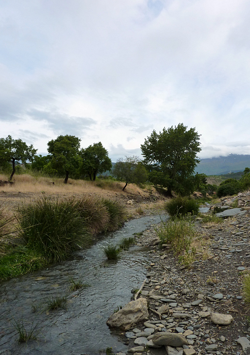 El río de la vega