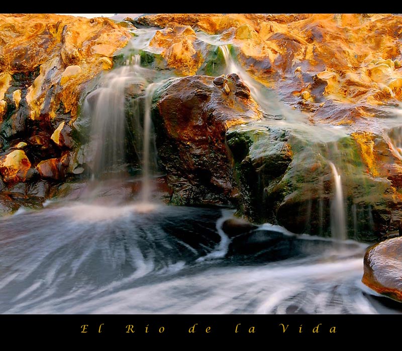 El "Río de la Vida"